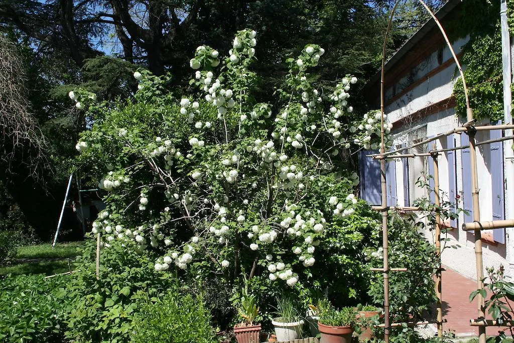 Les Esquirols Villa Toulouse Holiday home